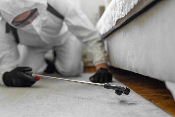 Professional Bed Bug Control technician working in Arlington Heights, IL
