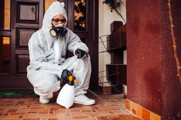 Reliable Bed Bug Control contractor in Arlington Heights, IL by Nex Pest Control