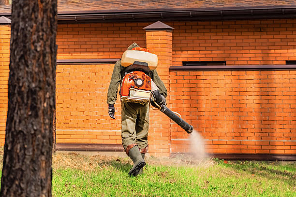 Trusted Cockroach Control service in Arlington Heights, IL - Nex Pest Control
